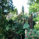 La Camelia D'oro *