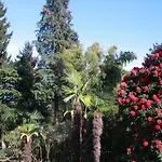 Apartman La Camelia D'oro *
