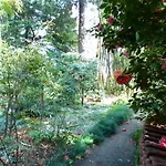 La Camelia D'oro אוג'ביו