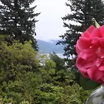 La Camelia D'oro Oggebbio