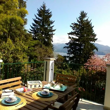 La Camelia D'oro Oggebbio