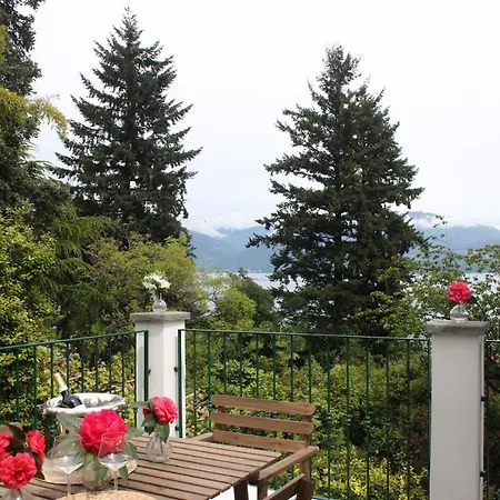 La Camelia D'oro Oggebbio