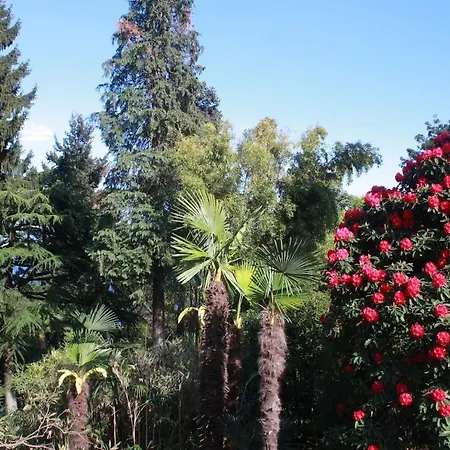 Apartament La Camelia D'oro *