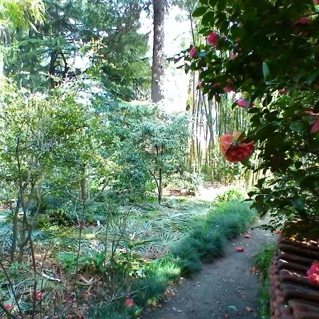La Camelia D'oro オッジェッビオ