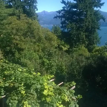 La Camelia D'oro Appartamento Oggebbio