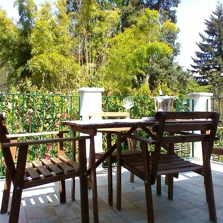 La Camelia D'oro Oggebbio