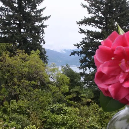 La Camelia D'oro Oggebbio
