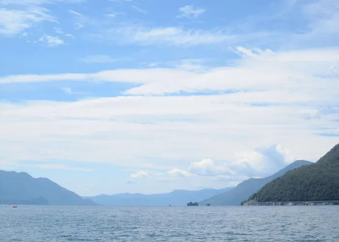 La Camelia D'oro * 奥杰比奥