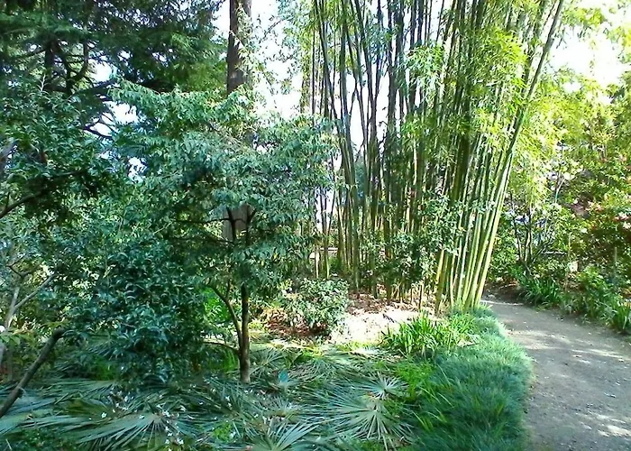 公寓 La Camelia D'oro 奥杰比奥