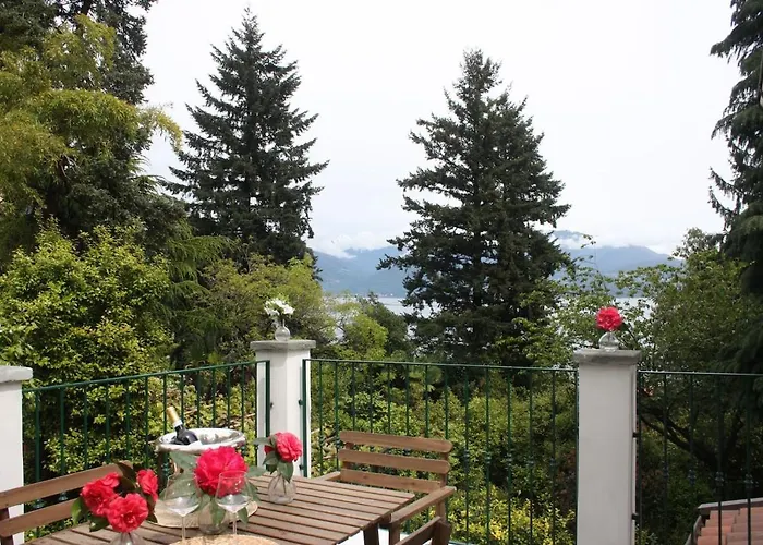 La Camelia D'oro 奥杰比奥