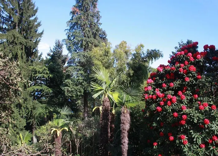 Apartman La Camelia D'oro *