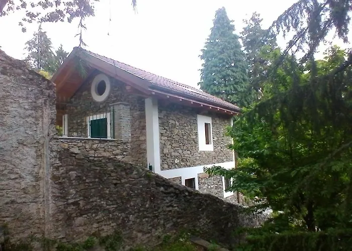 La Camelia D'oro 奥杰比奥