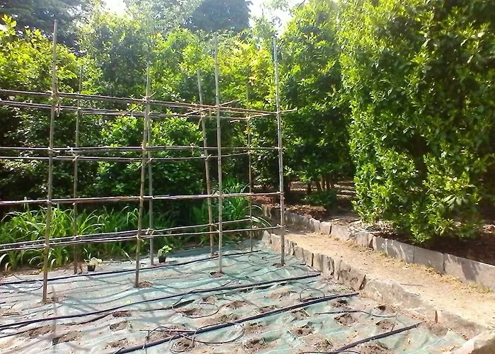 La Camelia D'oro Apartman *